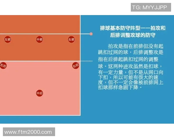 成都排球队反击战术解析与实战应用探讨