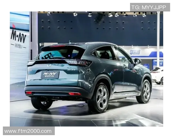 广州排球队在联合会杯中的表现分析与状态点评 广州排球队在联合会杯中的表现分析与状态点评