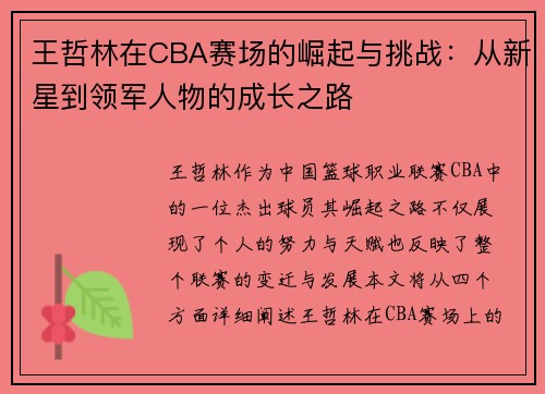 王哲林在CBA赛场的崛起与挑战：从新星到领军人物的成长之路